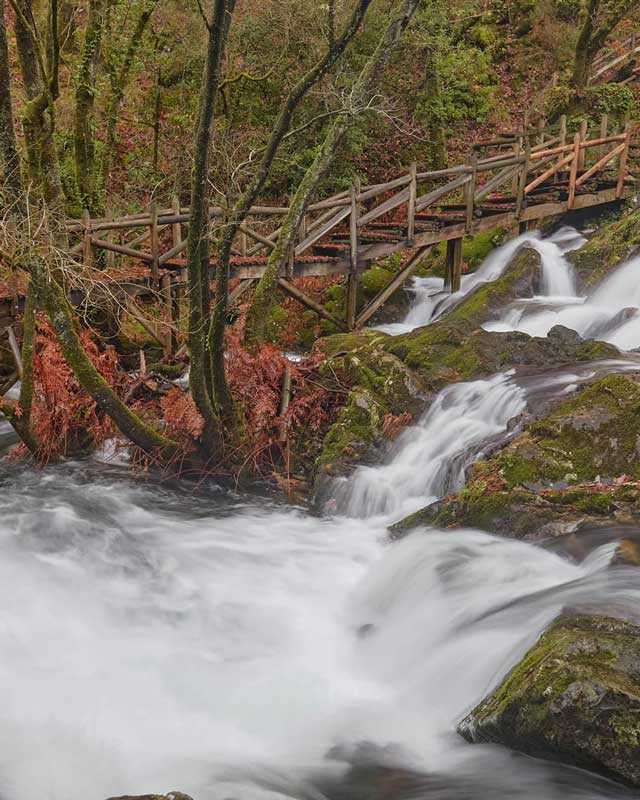 Conozca el entorno del hotel Corona de Galicia